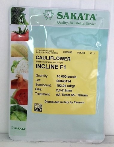 Cauliflower F1 Incline