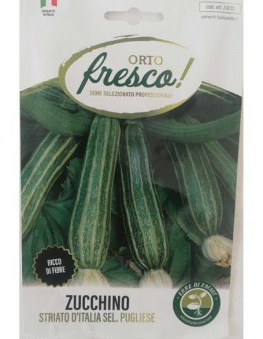 Zucchino Striato d'Italia Sel. Pugliese