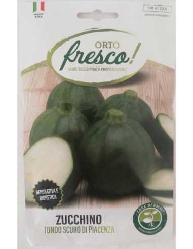 Zucchino Tondo Scuro di Piacenza