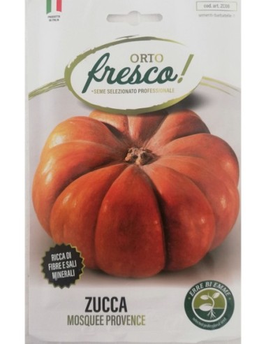 ZUCCA MOSQUEE PROVENCE