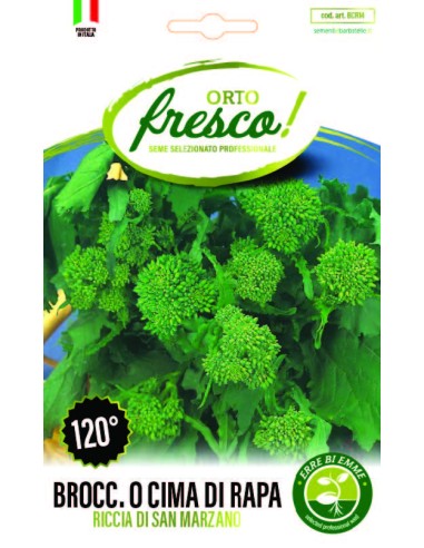 Broccolo o Cima di Rapa Riccia di San Marzano 120°