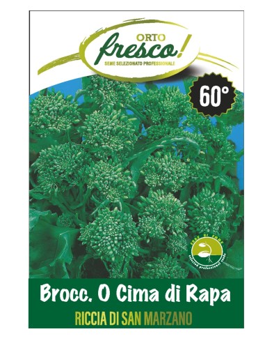 Broccolo o Cima di Rapa 60° Riccia S. Marzano