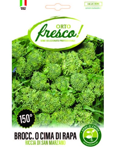 Broccolo o Cima di Rapa Riccia di San Marzano 150°