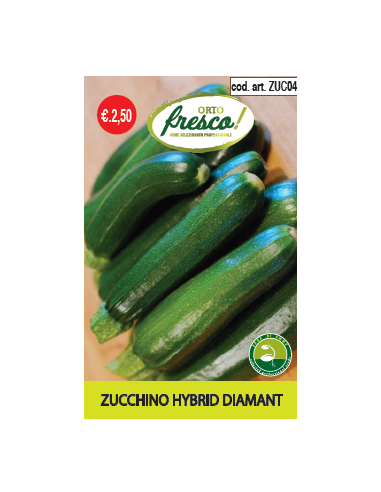 Zucchino Hybrid Diamant