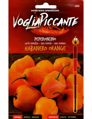 Peperoncino Habanero Orange