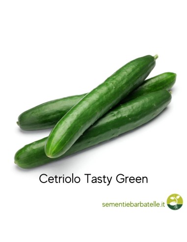 Cetriolo Tasty Green