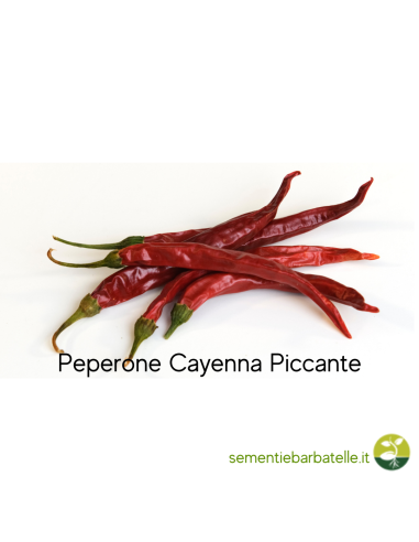Peperone Cayenna Piccante