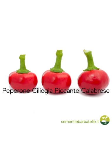 Peperone Ciliegia Piccante Calabrese