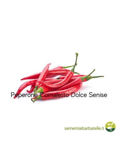 Peperone Cornaletto Dolce Senise